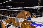 Pride FC (PlayStation 2)