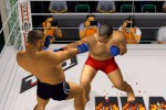 Pride FC (PlayStation 2)