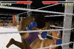 Pride FC (PlayStation 2)