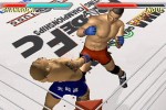 Pride FC (PlayStation 2)