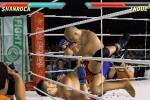 Pride FC (PlayStation 2)