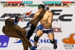 Pride FC (PlayStation 2)