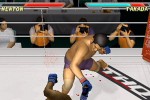 Pride FC (PlayStation 2)