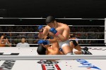 Pride FC (PlayStation 2)