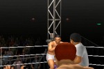 Pride FC (PlayStation 2)