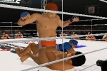 Pride FC (PlayStation 2)