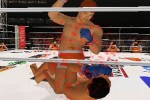 Pride FC (PlayStation 2)