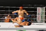 Pride FC (PlayStation 2)