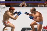 Pride FC (PlayStation 2)