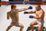 Pride FC (PlayStation 2)