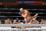 Pride FC (PlayStation 2)