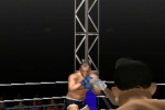 Pride FC (PlayStation 2)