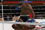 Pride FC (PlayStation 2)