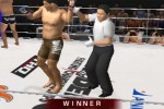 Pride FC (PlayStation 2)