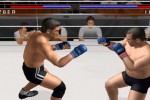 Pride FC (PlayStation 2)