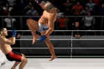 Pride FC (PlayStation 2)