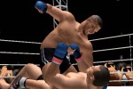 Pride FC (PlayStation 2)