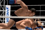 Pride FC (PlayStation 2)