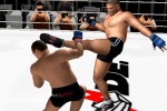 Pride FC (PlayStation 2)