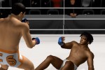 Pride FC (PlayStation 2)