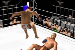 Pride FC (PlayStation 2)