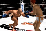 Pride FC (PlayStation 2)