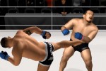 Pride FC (PlayStation 2)