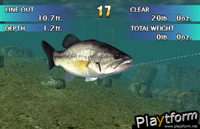 Top Angler (GameCube)