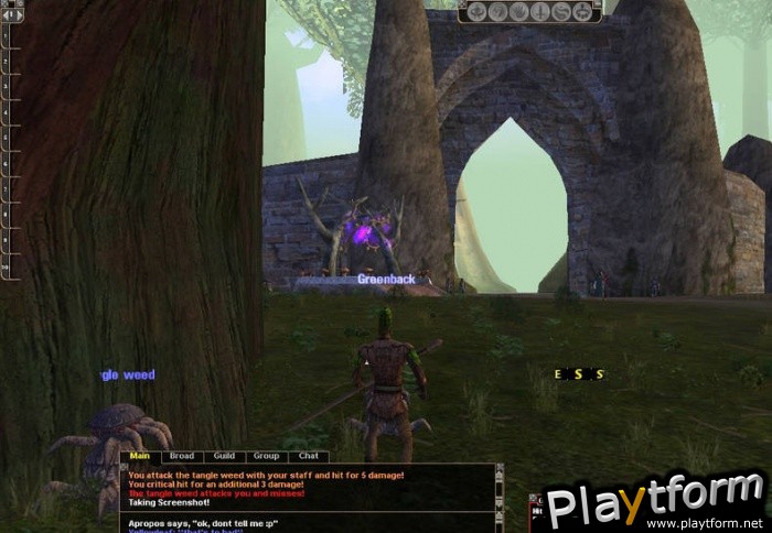 Dark Age of Camelot: Shrouded Isles (PC)