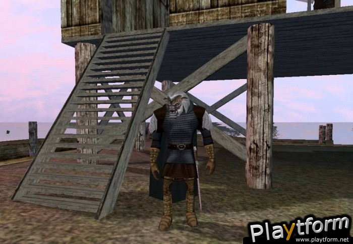 Dark Age of Camelot: Shrouded Isles (PC)