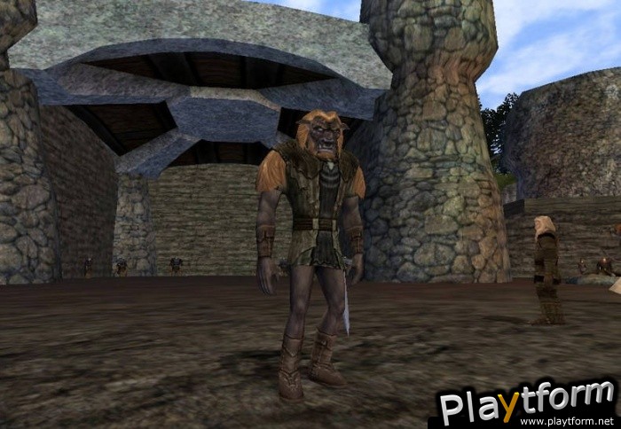 Dark Age of Camelot: Shrouded Isles (PC)