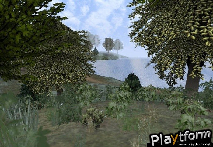 Dark Age of Camelot: Shrouded Isles (PC)