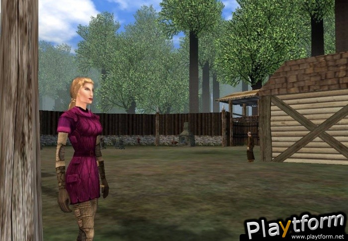 Dark Age of Camelot: Shrouded Isles (PC)