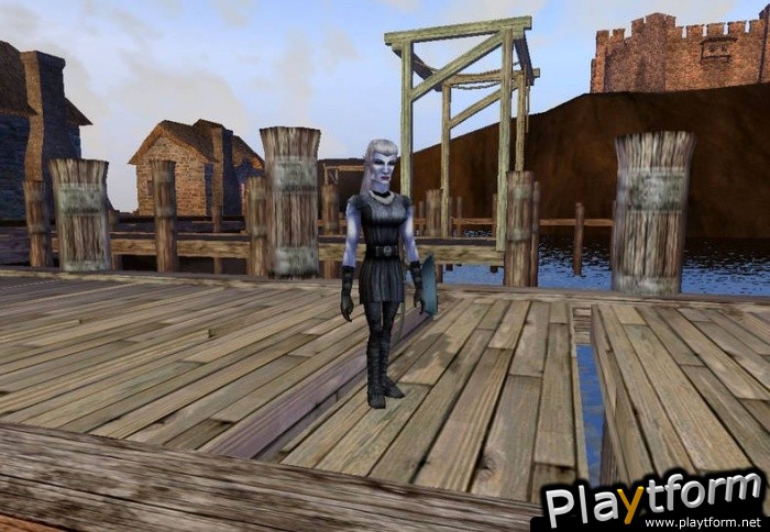 Dark Age of Camelot: Shrouded Isles (PC)