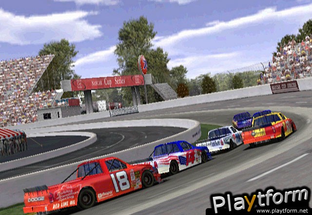 NASCAR: Dirt to Daytona (GameCube)