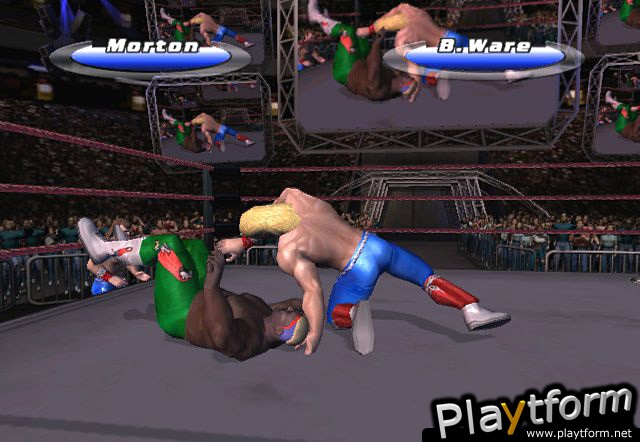 Legends of Wrestling II (PlayStation 2)