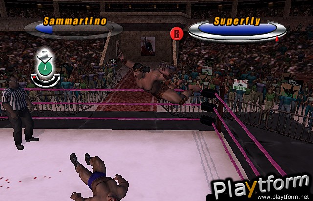 Legends of Wrestling II (GameCube)