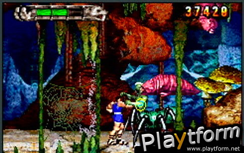 Altered Beast: Guardian of the Realms (Game Boy Advance)