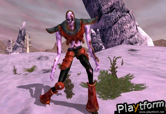 Asheron's Call 2: Fallen Kings (PC)