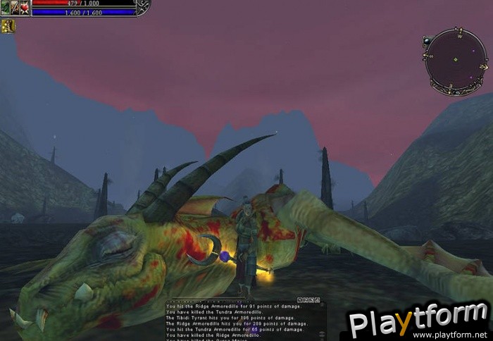 Asheron's Call 2: Fallen Kings (PC)