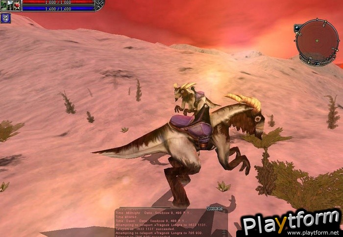 Asheron's Call 2: Fallen Kings (PC)