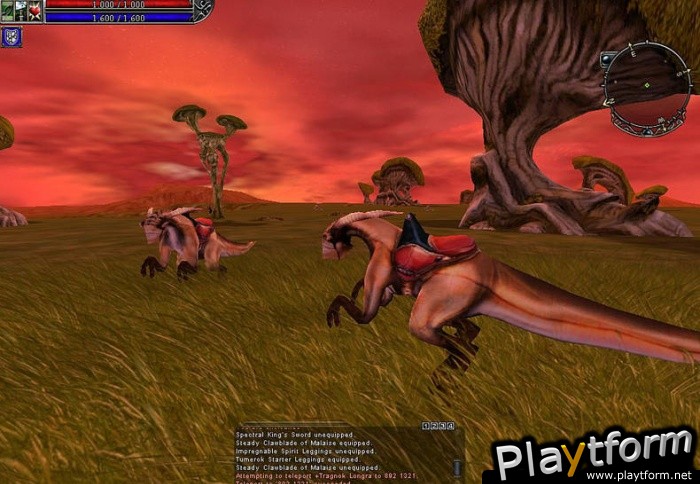 Asheron's Call 2: Fallen Kings (PC)