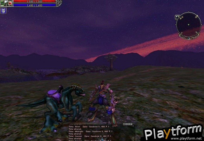 Asheron's Call 2: Fallen Kings (PC)