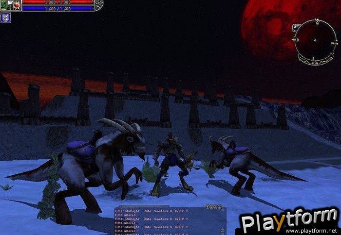 Asheron's Call 2: Fallen Kings (PC)