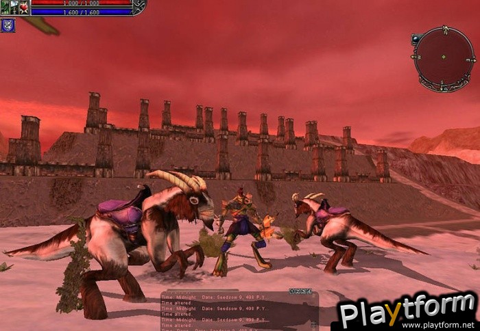 Asheron's Call 2: Fallen Kings (PC)