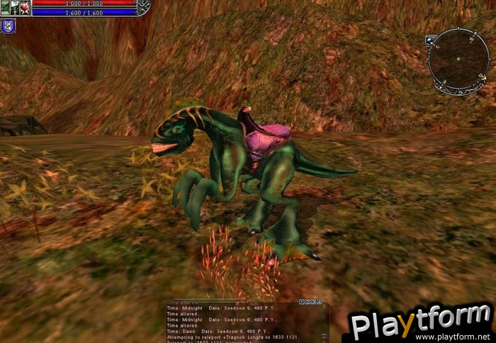 Asheron's Call 2: Fallen Kings (PC)