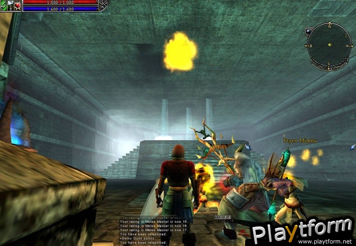 Asheron's Call 2: Fallen Kings (PC)