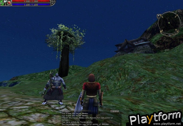 Asheron's Call 2: Fallen Kings (PC)