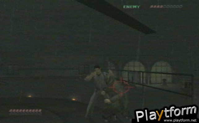 Dead to Rights (PlayStation 2)