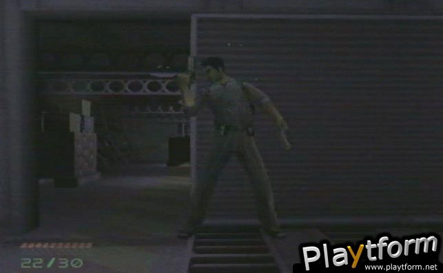 Dead to Rights (PlayStation 2)